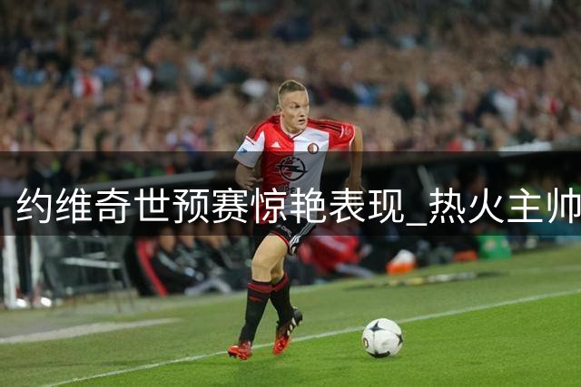 约维奇世预赛惊艳表现 热火主帅应重新审视其战术定位